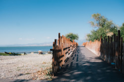 Projekt Albanian Carpet od studia Casanova+Hernandez Architects