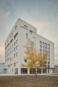 Mlýnica, GutGut