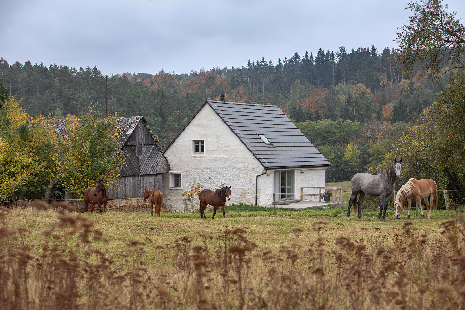 Špejchar, JMA / Jan Mareš