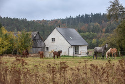 Špejchar, JMA / Jan Mareš