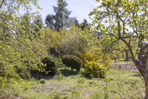 Poskytnou harmonické přírodní prostředí lidem, rostlinám, ptákům i hmyzu. (Proměna zahrádkářské kolonie na park v Praze; Terra Florida)