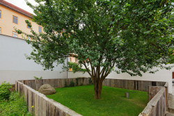 Zenové zahrady 1ar(t) a 2ar(t), Josef Pleskot