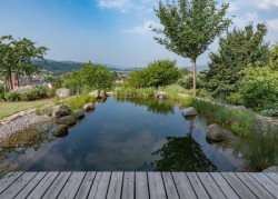 Od 4. do 6. dubna 2025 se v Kulturním zařízení Domovina koná konference Natural Homes Conference & Příběhy domů.