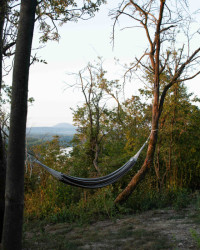 Na zahradě je zavěšená houpací síť.