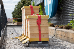 Včelí úly na Brumlovce