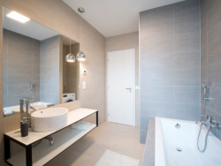 Park Tower - vzorové byty, Semela Ateliers / Monika Zvonková, Pavel Šánek, Ladislav Semela, Petra Gregorová.