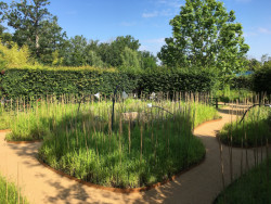 Zahrada sdíleného vědomí od studentů Fakulty architektury ČVUT. Foto: Tereza Havránková