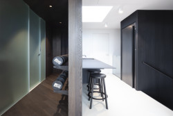 Ateliér Vrtiška & Žák navrhli interiér vily v pražské Troji v kombinaci světlých a tmavých odstínů