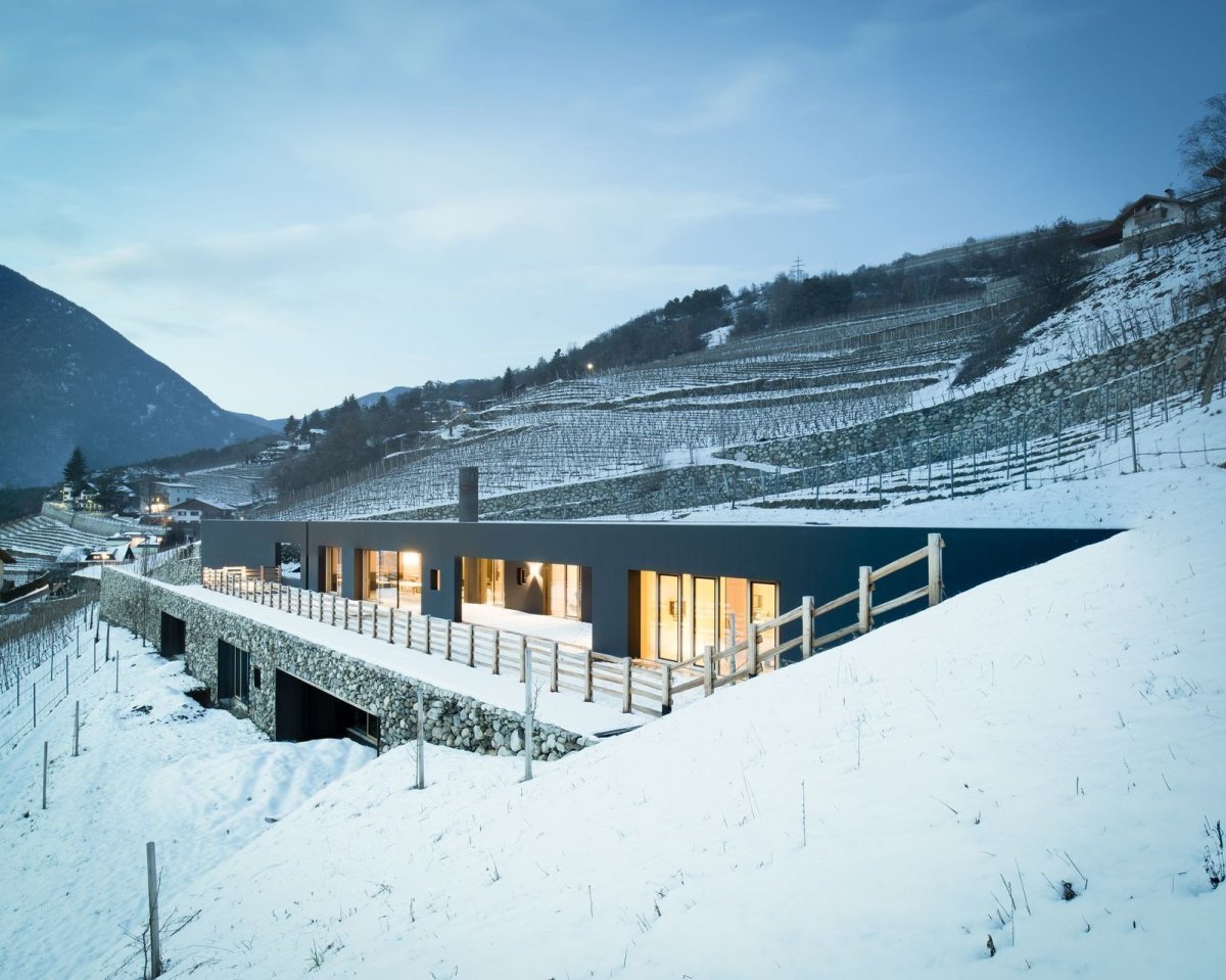 Vila P, Bergmeisterwolf