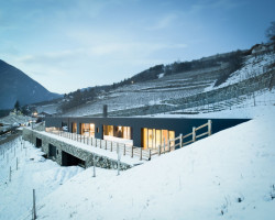 Vila P, Bergmeisterwolf