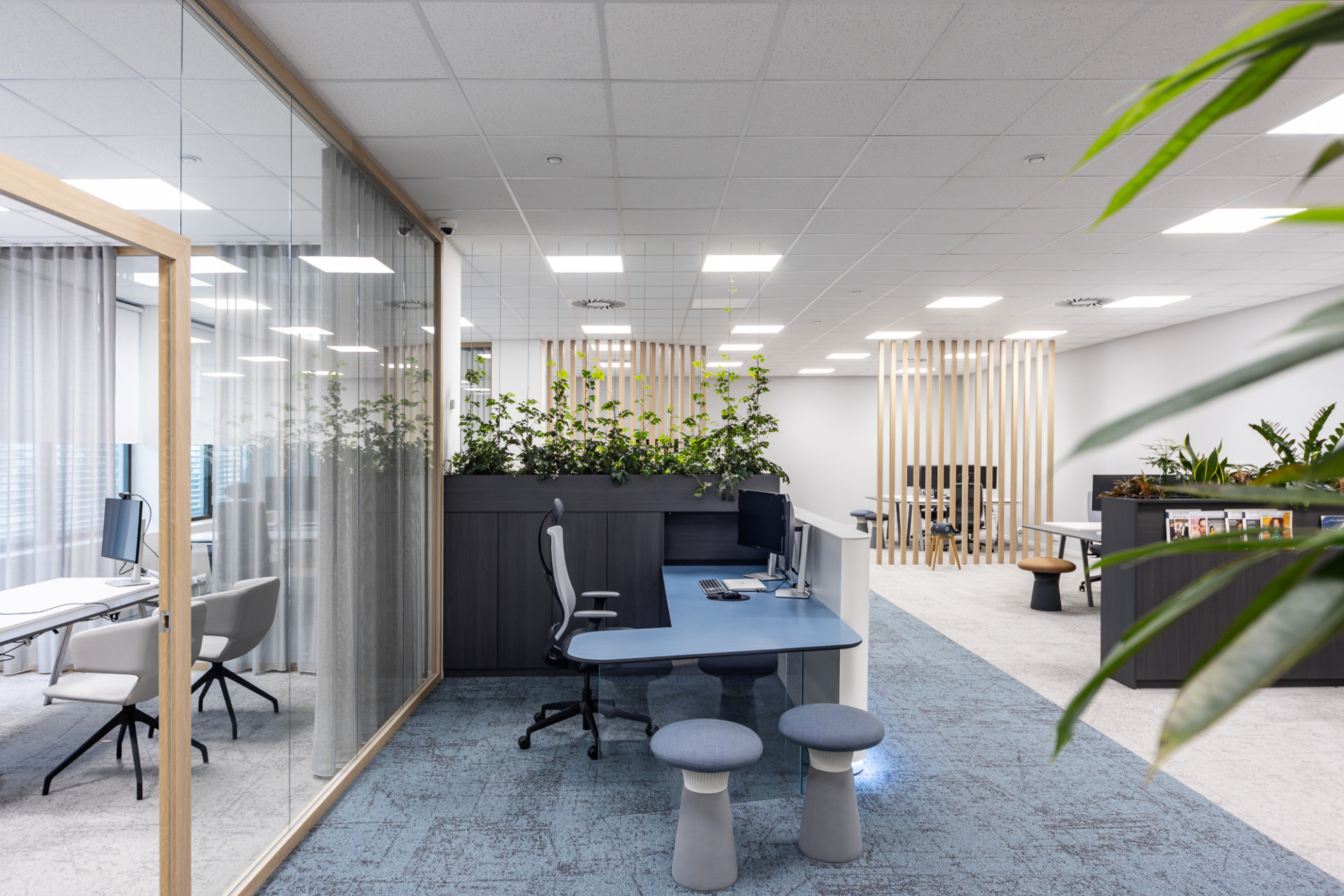 Zároveň však budou mít dostatečné soukromí pro práci.