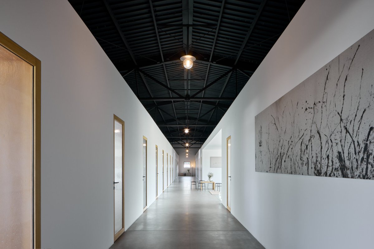 Obrazy Lukáše Musila (Musa) (Sídlo a showroom Janošík, Jakub Janošík)