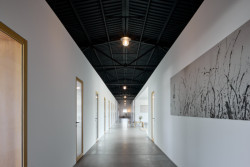 Obrazy Lukáše Musila (Musa) (Sídlo a showroom Janošík, Jakub Janošík)