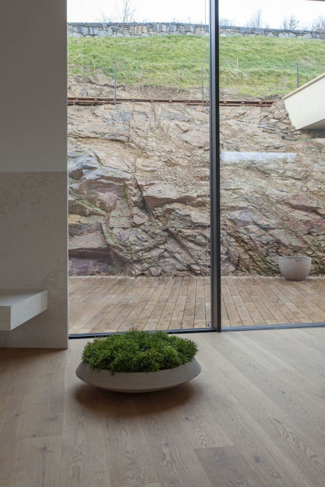 Vila v Dejvicích, Josef Pleskot, AP Ateliér