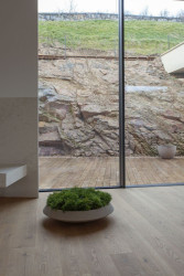 Vila v Dejvicích, Josef Pleskot, AP Ateliér