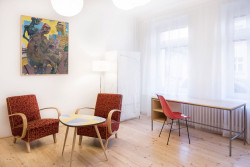 architectureMADE, Rekonstrukce nájemního bytu 1+1 v Plzni – foto