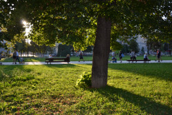 Park na Moravském náměstí, Consequence Forma: Fotografie od poroty Park roku 2023