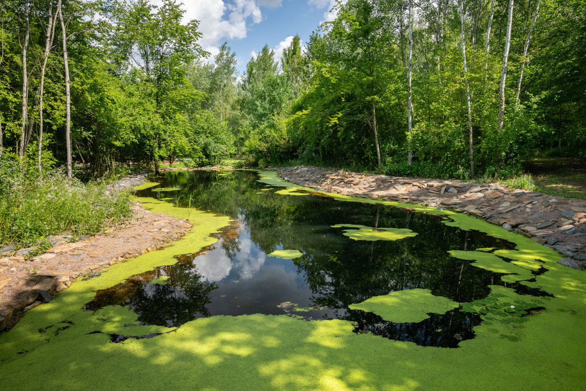 Krajina – Obnova krajiny ve Vinařích