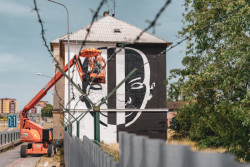 Z předchozích ročníků