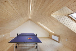 Rodinný dům v Lipnici nad Sázavou od OK PLAN ARCHITECTS