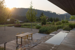 Její součástí je vodní prvek, který současně slouží jako ochlazovací bazén k sauně. (Zahrada rodinného domu u vodní nádrže Kamýk, Atelier Flera)