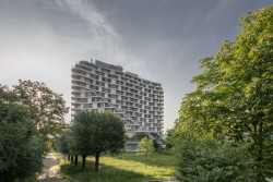 Celý dům se nese v organickém designu s absencí přísných ostrých hran