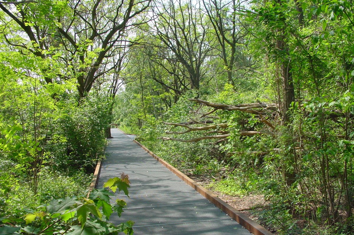 Přírodní park Südgelände, Berlín