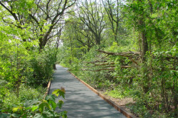 Přírodní park Südgelände, Berlín