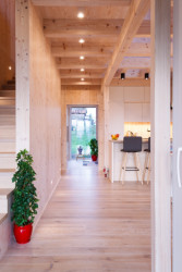 Rodinný dům Veterná Poruba, Prodesi/Domesi