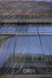 Originální fasáda s tvarovanými železnými lamelami vyžadovala speciální práci. Součástí zakázky byla i neméně náročná rekonstrukce sousedního Schönkirchovského paláce.