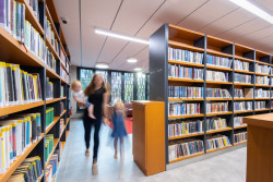 Knihovna v Hrádku nad Nisou, Ateliér David