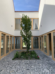 Komunitní dům pro seniory v Holasovicích, City Upgrade: Uspořádány jsou kolem centrálního dvorku, v jehož středu roste strom