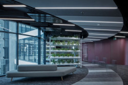 Kanceláře společnosti Livesport se světly Lina60.