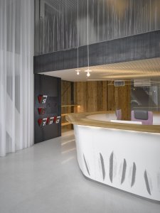 Kancelářské prostory a showroom developerské společnosti Satpo, Daniela Polubědovová