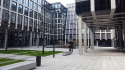 Zdeněk Lukeš: První jarní psí vycházka, nádvoří Florentina