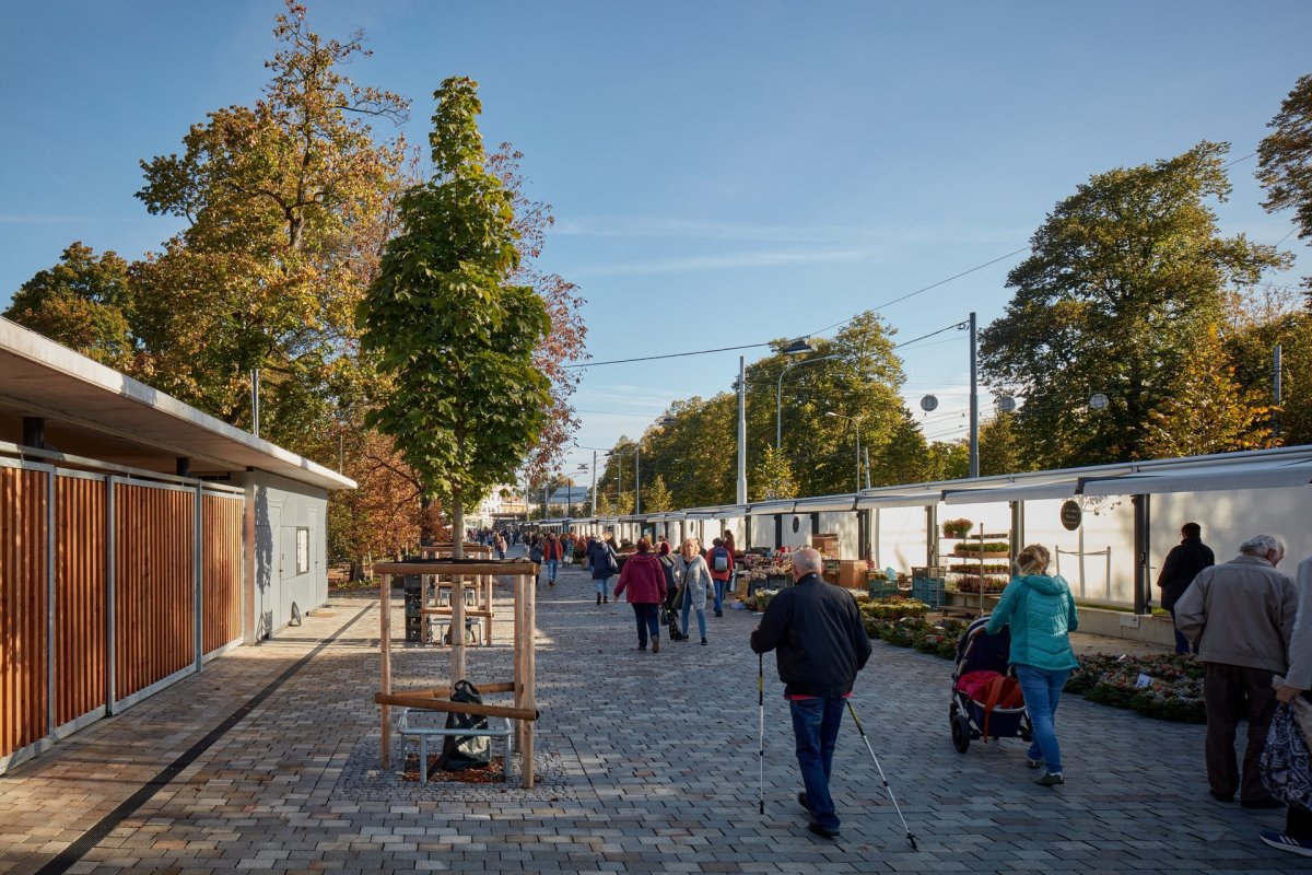 Tradiční tržiště Pod Kaštany v centru Zlína dostalo novou podobu. Jsou tu nové pohodlnější stánky, ale také toalety a odpočinková piazetta. (Rekonstrukce tržiště ve Zlíně, ellement architects, 2022)