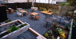 Rekonstrukce restaurační zahrady Hoja, Petr Danda