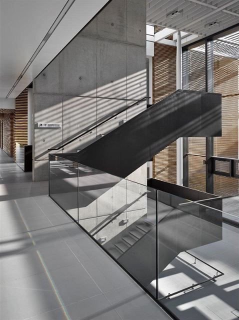 Bogle Architects, ELI, schodiště v atriu – foto