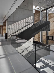 Bogle Architects, ELI, schodiště v atriu – foto