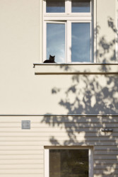 Nová terasa suterénního bytu v Praze od Matěje Šebka