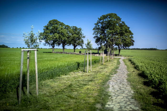 Pietní místo Kunčí, Med Pavlík architekti/ Lukáš Pavlík, Tomáš Med, Josef Odvárka
