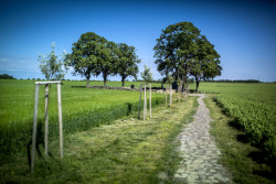 Pietní místo Kunčí, Med Pavlík architekti/ Lukáš Pavlík, Tomáš Med, Josef Odvárka