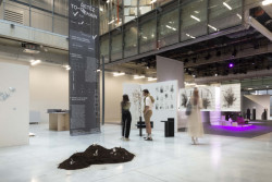 Probíhá výstava klauzurních, bakalářských a diplomových prací studentů UMPRUM