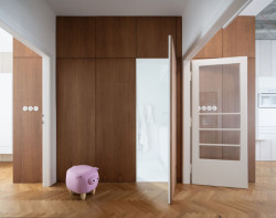 Box s koupelnou a prasátko. Aby to nebylo tak vážné.  (Rekonstrukce funkcionalistického bytu v Praze, architekt Martin Čeněk)