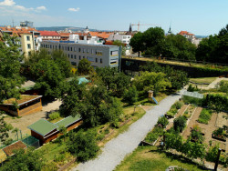 Projektil architekti a Lucie Komendové jsou autory veřejné zahrady na svahu hradu Špilberk