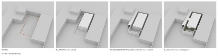 Bamboo Forest, V Studio