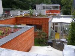 Rozvoj areálu Opatovického mlýna, ABM architekti.