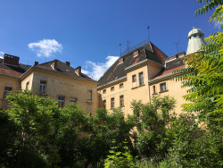 Festival 4+4 dny v pohybu, ilustrační fotografie.