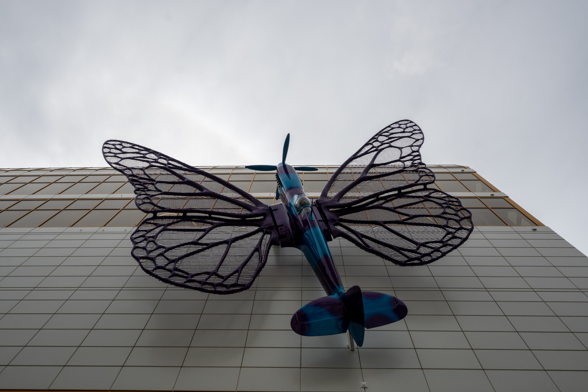 Motýli Davida Černého vzbudili rozruch jako kýč. To ovšem ještě nikdo netušil, co bude uvnitř – v hájemství křišťálových lustrů a umělohmotných goril. 

