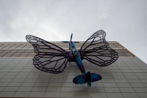 Motýli Davida Černého vzbudili rozruch jako kýč. To ovšem ještě nikdo netušil, co bude uvnitř – v hájemství křišťálových lustrů a umělohmotných goril. 

